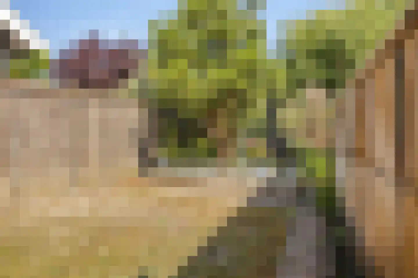 Burg C Zaaijerlaan 67 Dirksland thumbnail 30