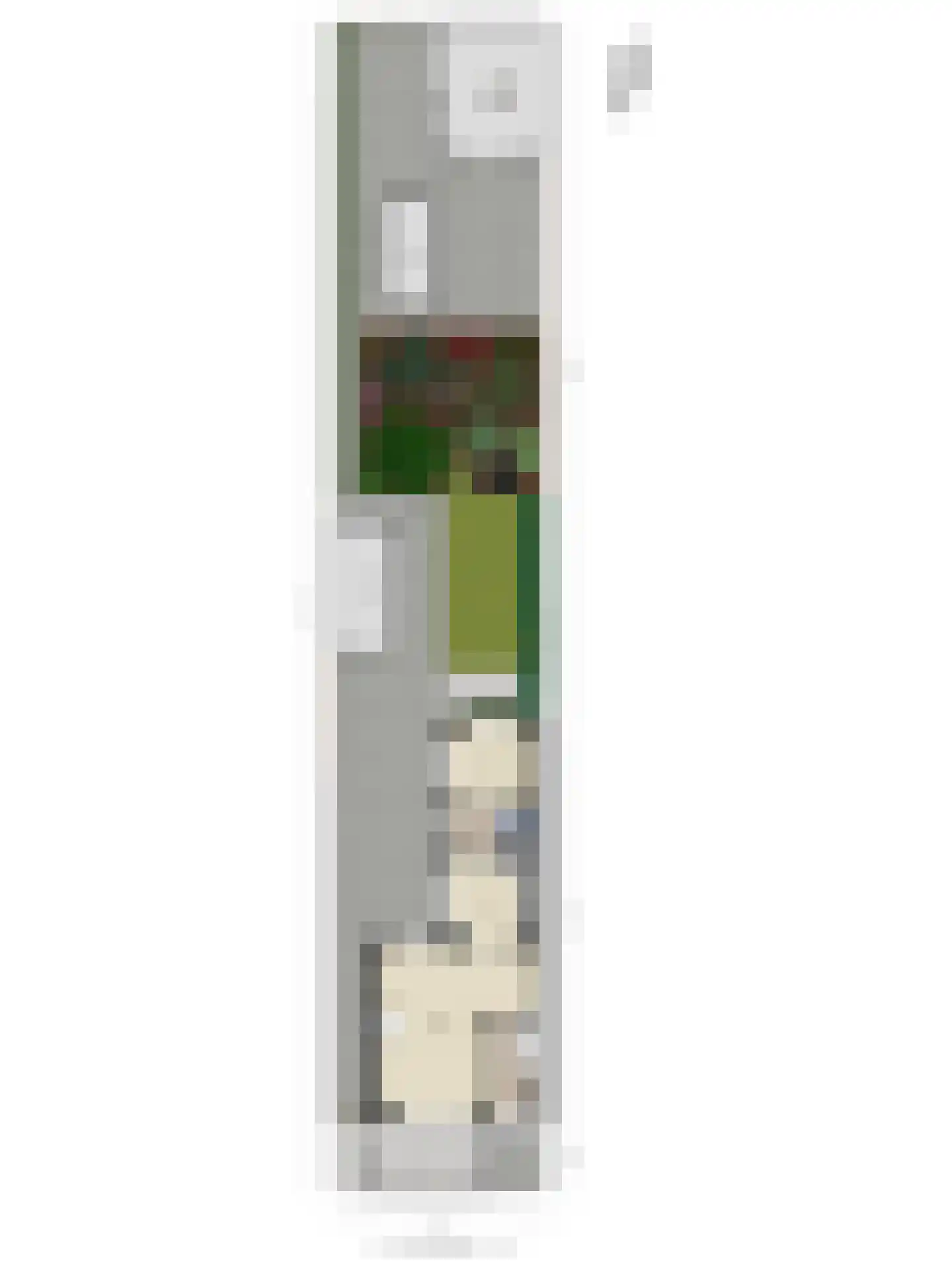 Burg C Zaaijerlaan 67 Dirksland thumbnail 37
