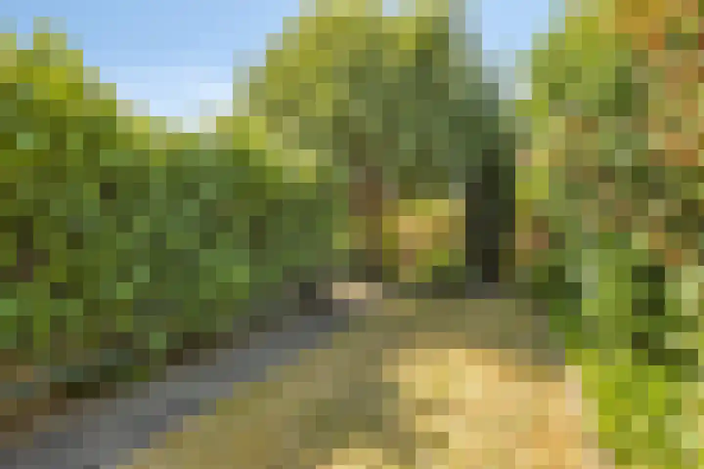 Burg C Zaaijerlaan 67 Dirksland thumbnail 4