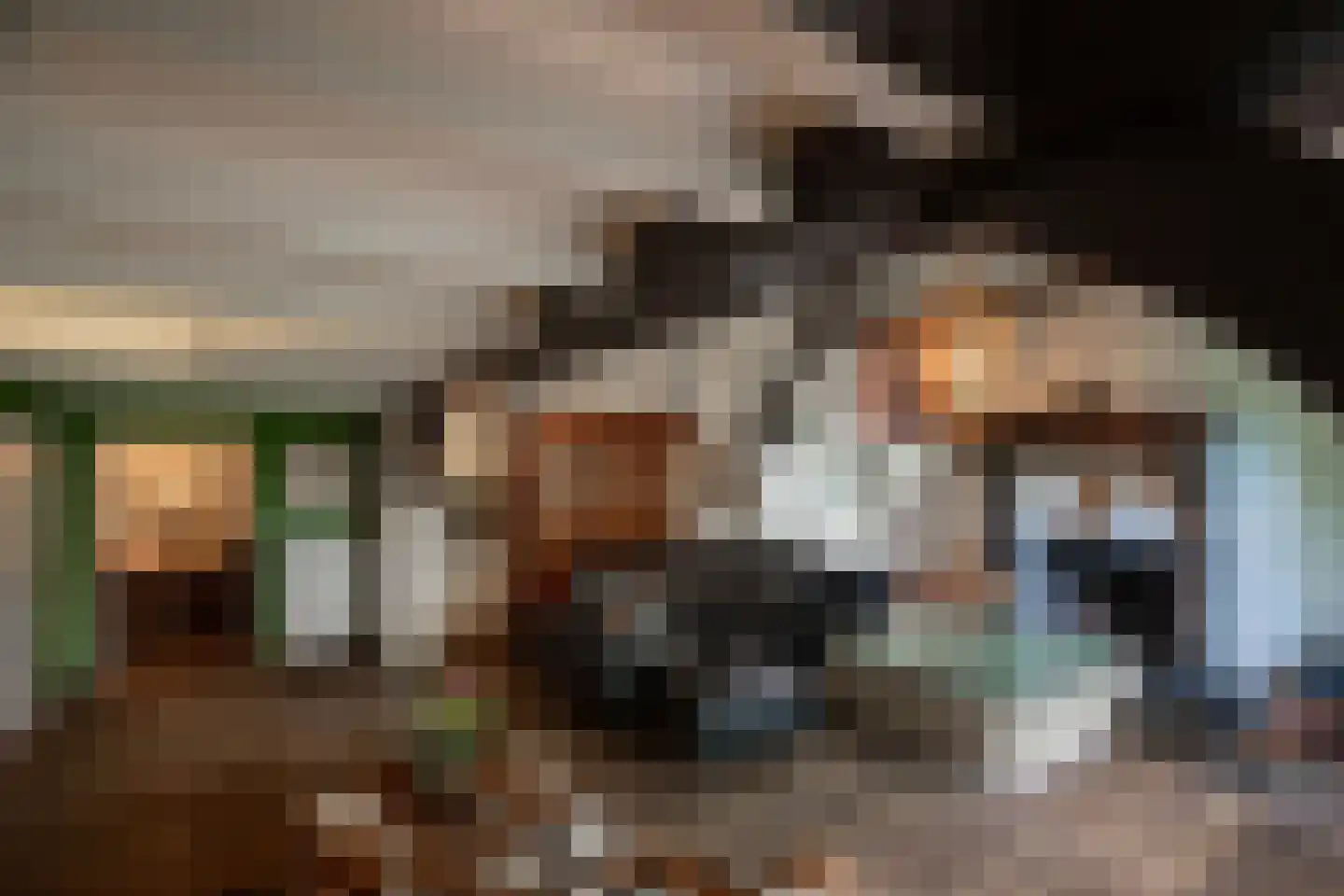 Burg. Canterslaan 31 Oisterwijk thumbnail 12