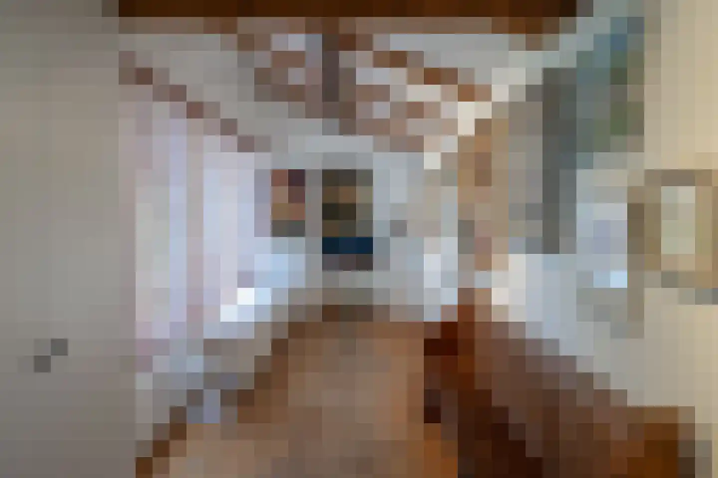 Burg. Canterslaan 31 Oisterwijk thumbnail 22