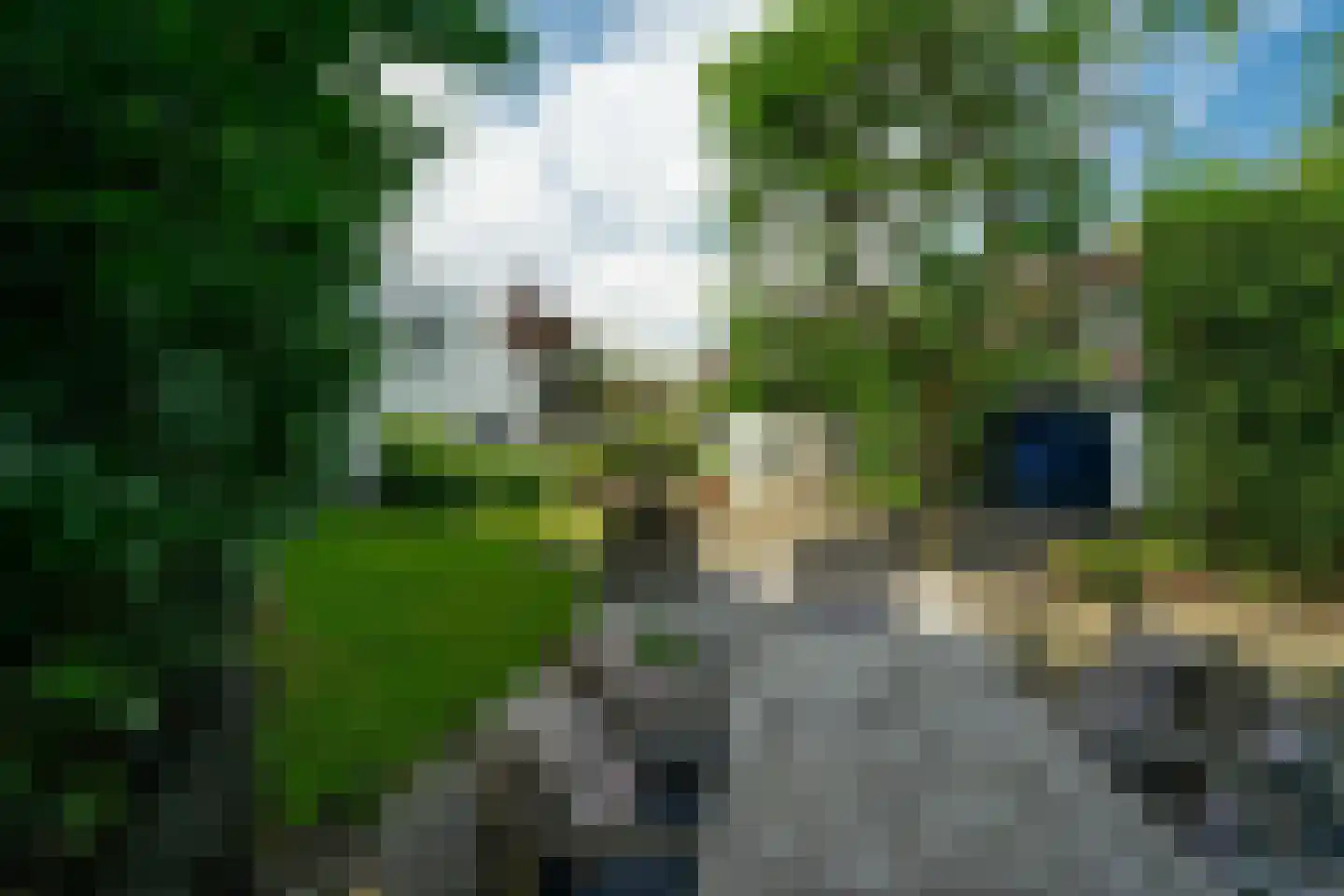 Burg. Canterslaan 31 Oisterwijk thumbnail 34