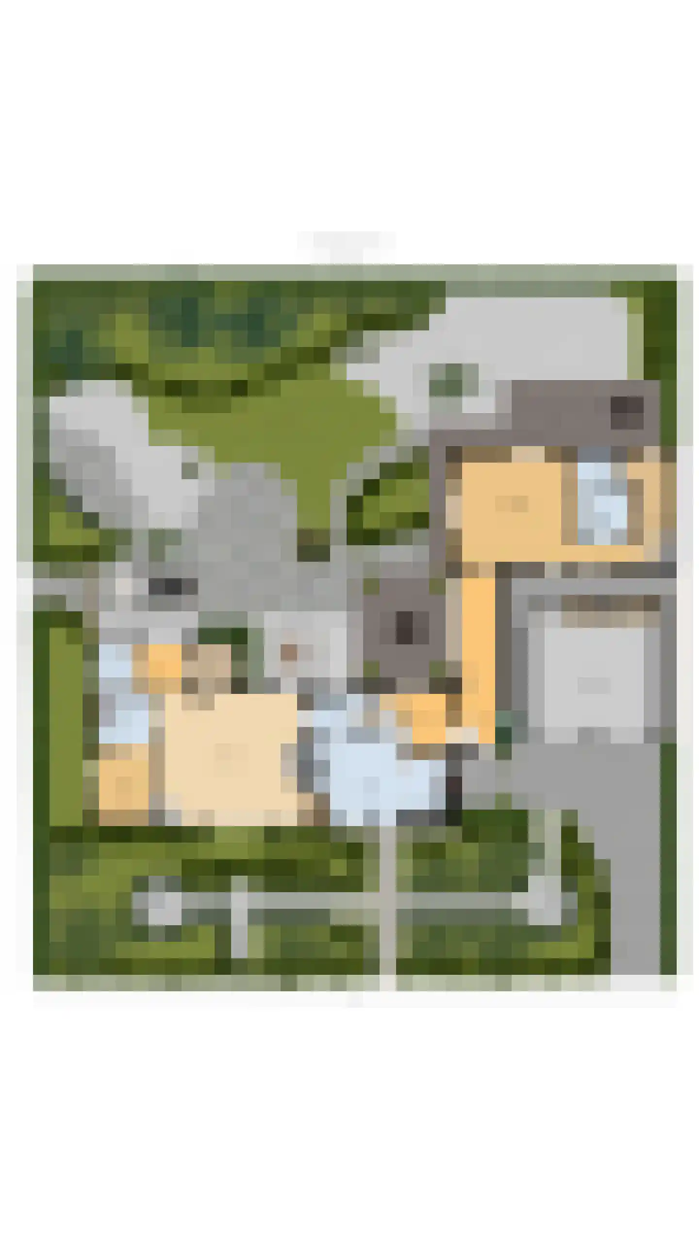 Burg. Canterslaan 31 Oisterwijk thumbnail 60