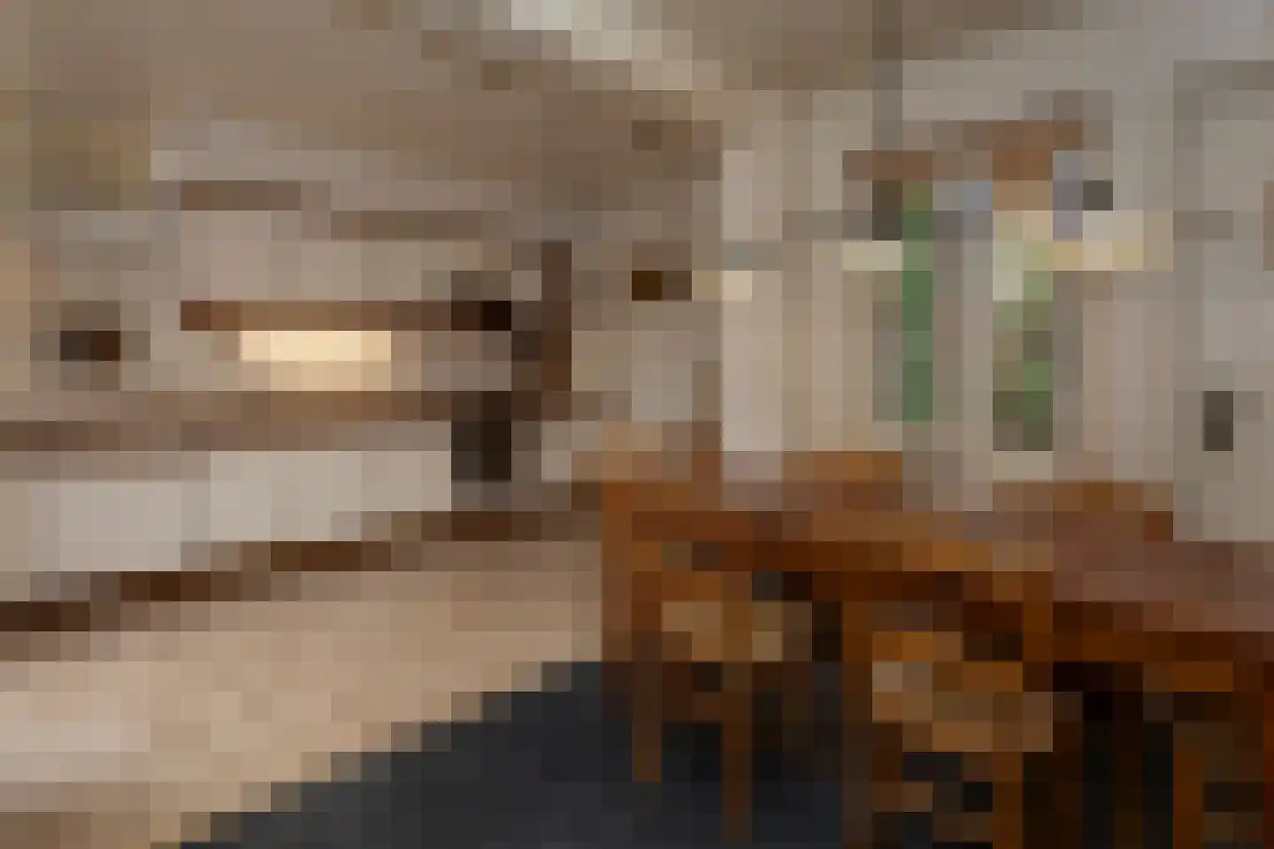 Burg. Canterslaan 34 Oisterwijk thumbnail 11