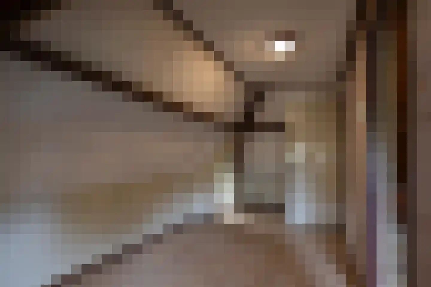 Burg. Canterslaan 34 Oisterwijk thumbnail 23