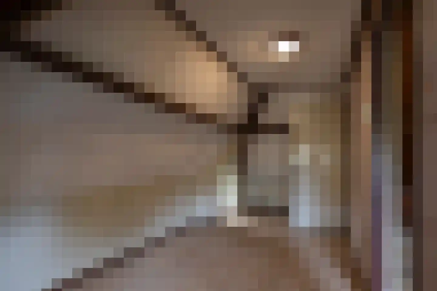 Burg. Canterslaan 34 Oisterwijk thumbnail 25
