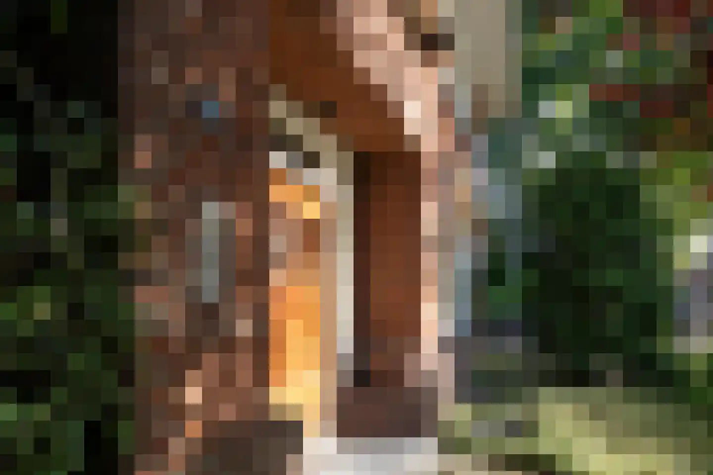 Burg. Canterslaan 34 Oisterwijk thumbnail 4