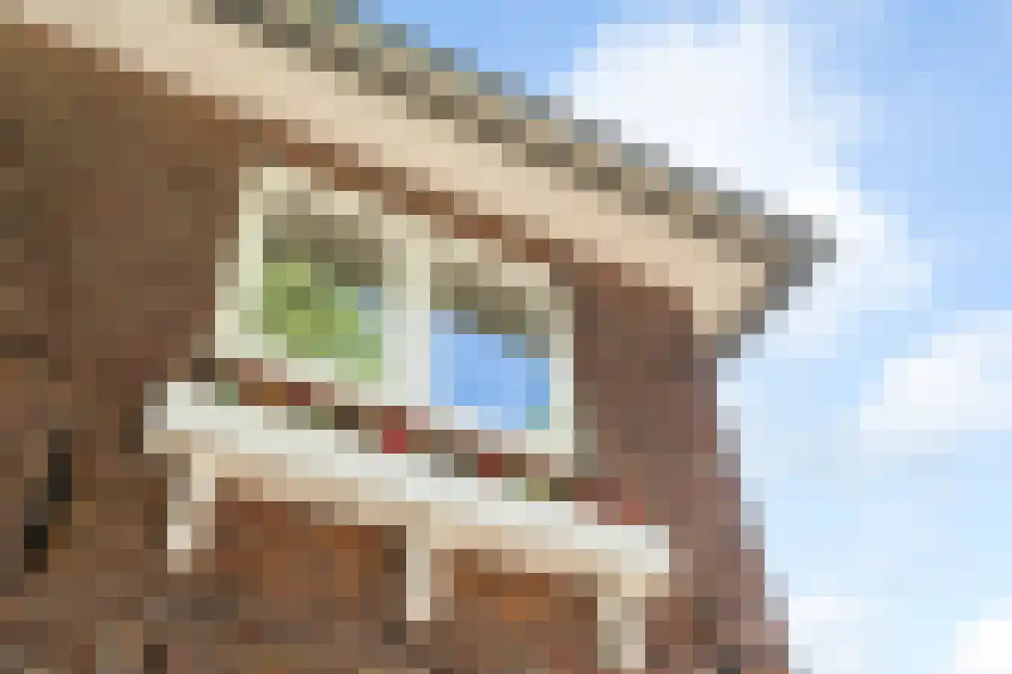 Burg. Canterslaan 81 Oisterwijk thumbnail 34