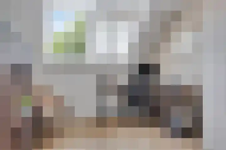 Burg. Canterslaan 99 Oisterwijk thumbnail 18