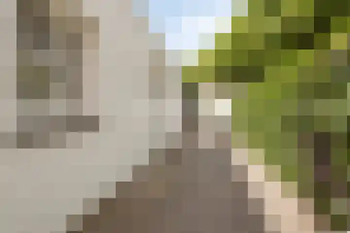Burg. Canterslaan 99 Oisterwijk thumbnail 27