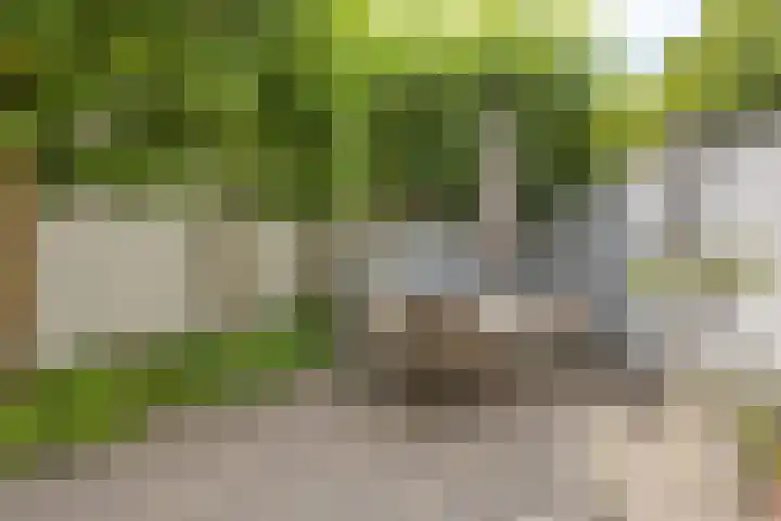 Burg. Canterslaan 99 Oisterwijk thumbnail 29