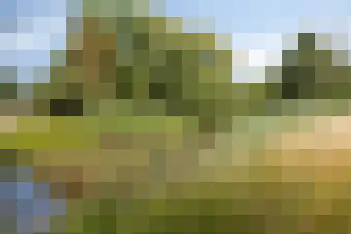 Burg. Canterslaan 99 Oisterwijk thumbnail 31