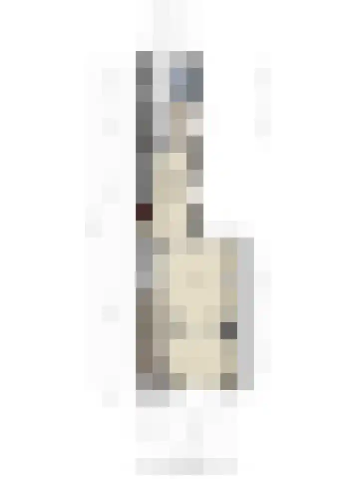 Burg. Canterslaan 99 Oisterwijk thumbnail 35