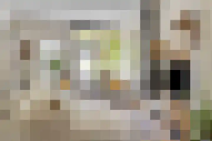 Burg. Canterslaan 99 Oisterwijk thumbnail 5