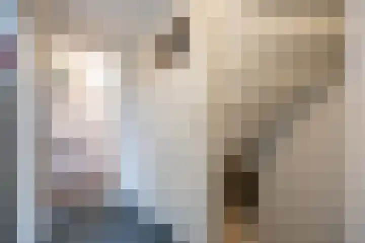 Burg Cleveringalaan 44 Zuidhorn thumbnail 20