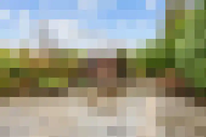 Burg Cleveringalaan 44 Zuidhorn thumbnail 28