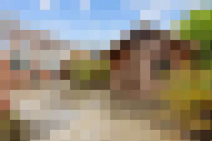 Burg Cleveringalaan 44 Zuidhorn thumbnail 29
