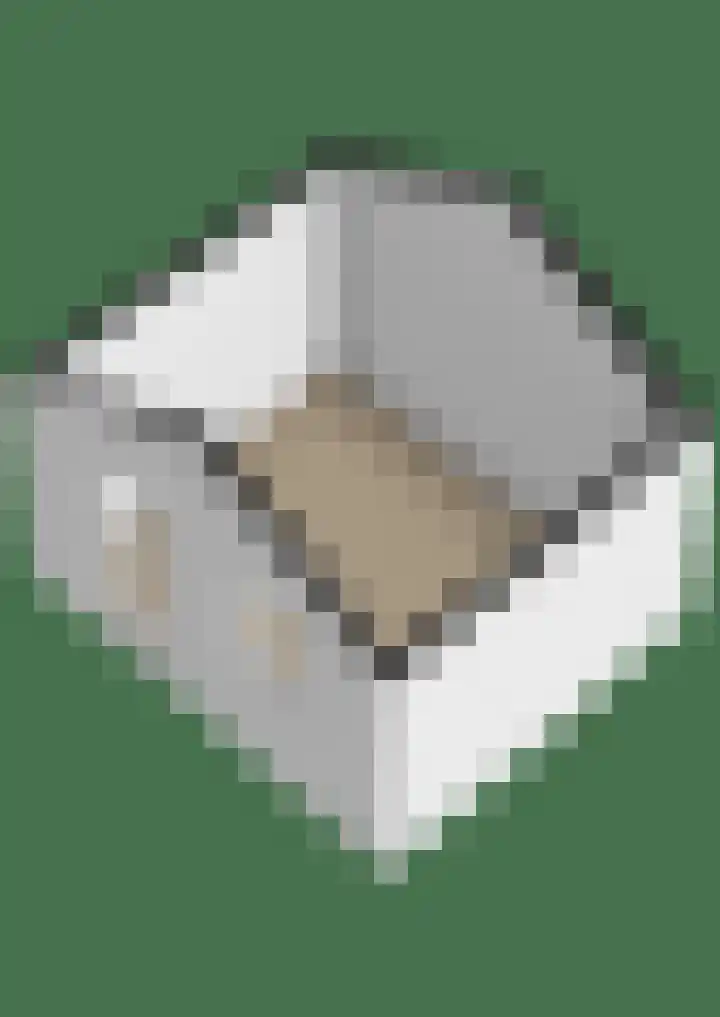 Burg Cleveringalaan 44 Zuidhorn thumbnail 34