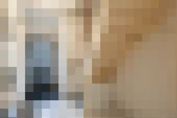 Burg Cleveringalaan 44 Zuidhorn thumbnail 6
