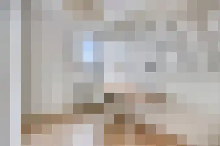 Burg. Coonenplein 9 Limbricht thumbnail 13