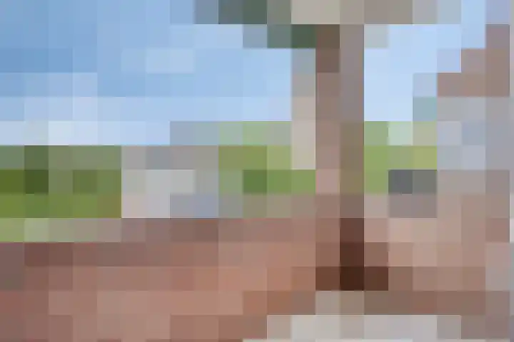 Burg. Coonenplein 9 Limbricht thumbnail 15