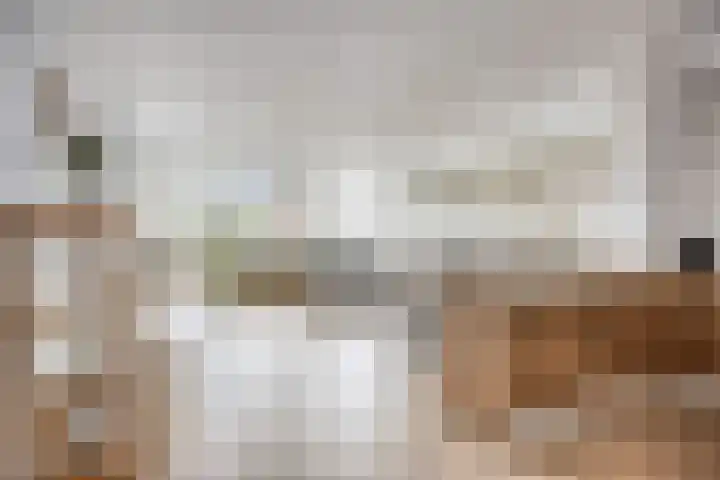 Burg. Coonenplein 9 Limbricht thumbnail 9