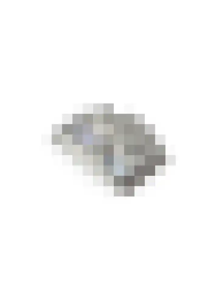 Burg. Cremershof 36 Panningen thumbnail 25