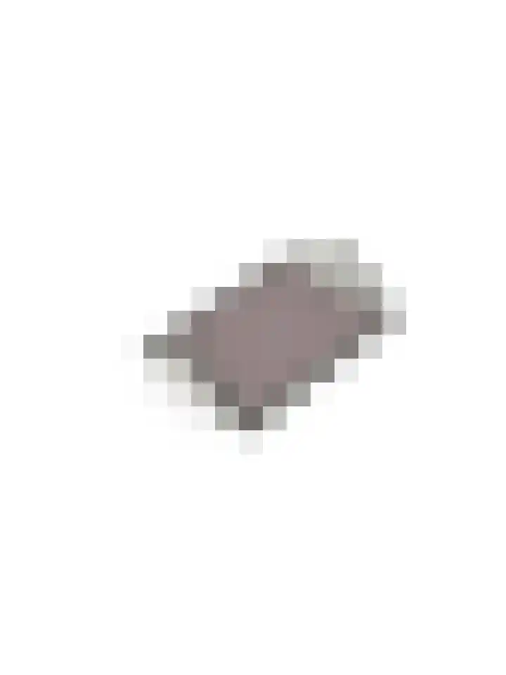 Burg. Cremershof 36 Panningen thumbnail 27