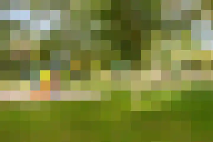 Burg. Cremershof 38 Panningen thumbnail 13