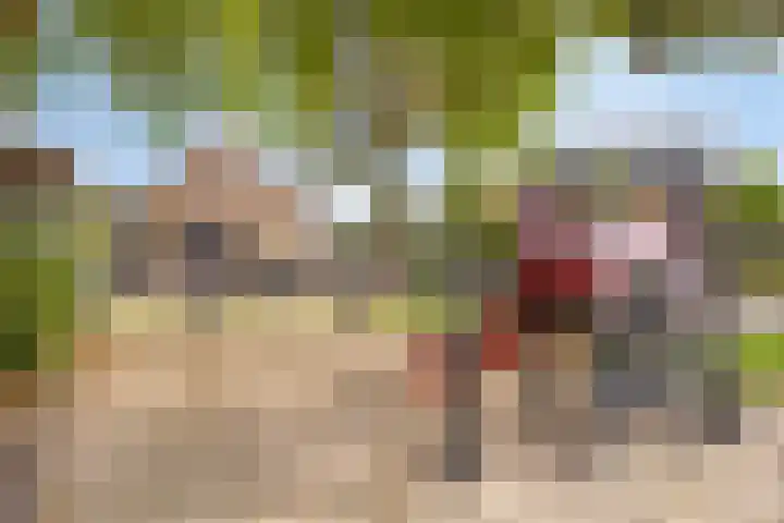Burg. Cremershof 38 Panningen thumbnail 15