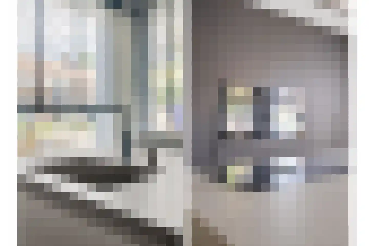 Burg. Cremershof 51 Panningen thumbnail 5