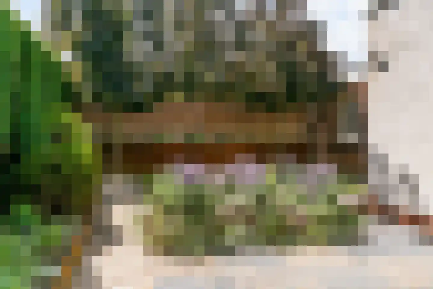 Burg. Cremersstraat 3 Nuth thumbnail 29