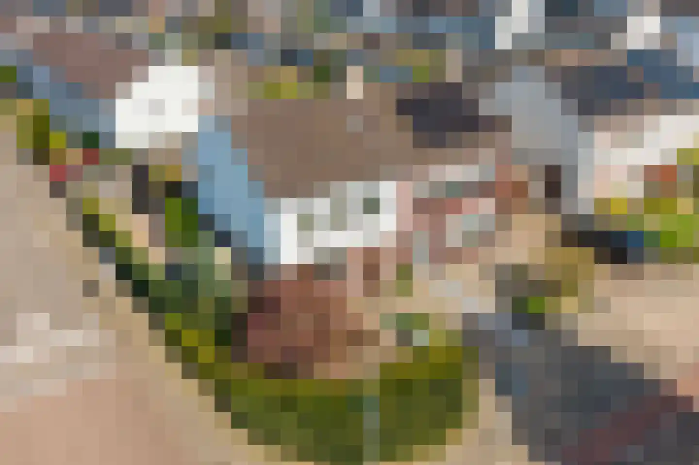 Burg Cremersstraat 32 Grubbenvorst thumbnail 23
