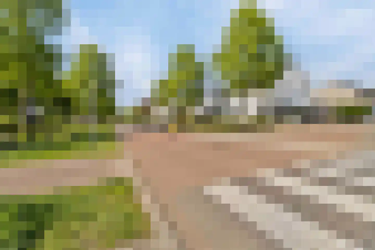 Burg Cremersstraat 32 Grubbenvorst thumbnail 24