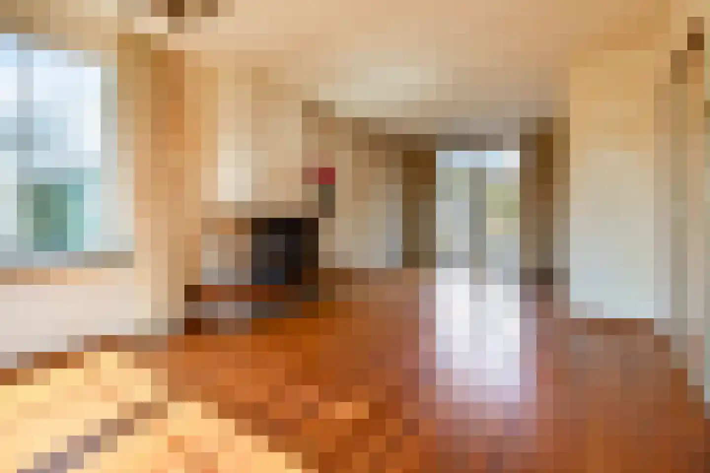 Burg Cremersstraat 32 Grubbenvorst thumbnail 6