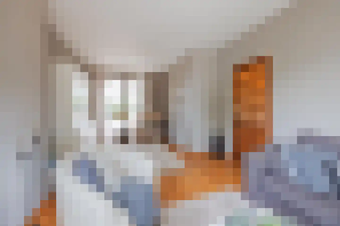 Burg Cremersstraat 44 Grubbenvorst thumbnail 13