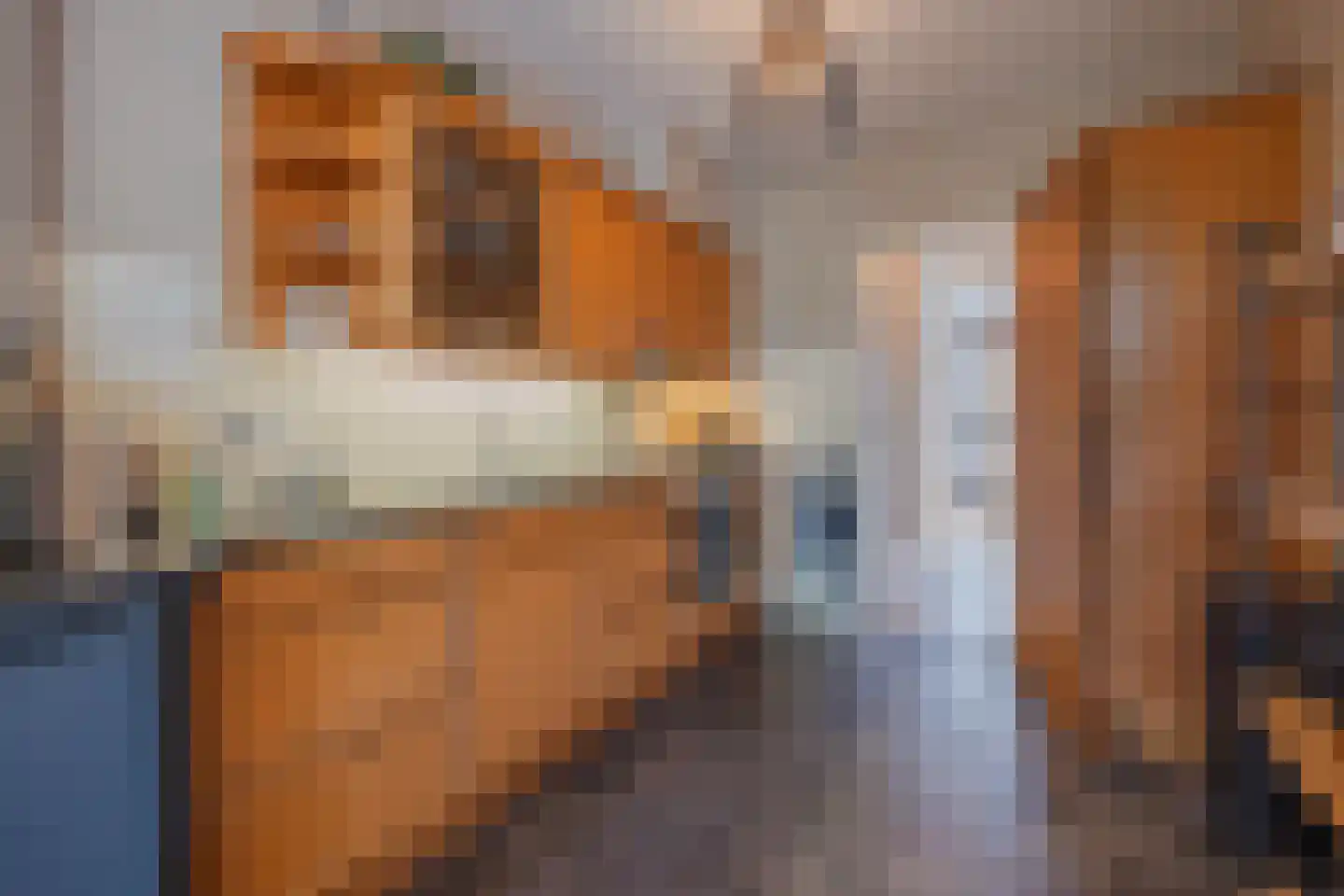 Burg Cremersstraat 44 Grubbenvorst thumbnail 16