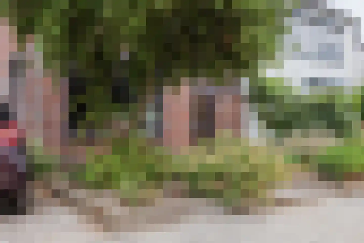 Burg Cremersstraat 44 Grubbenvorst thumbnail 8