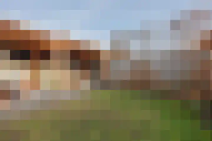 Burg Cremersstraat 60 Grubbenvorst thumbnail 31