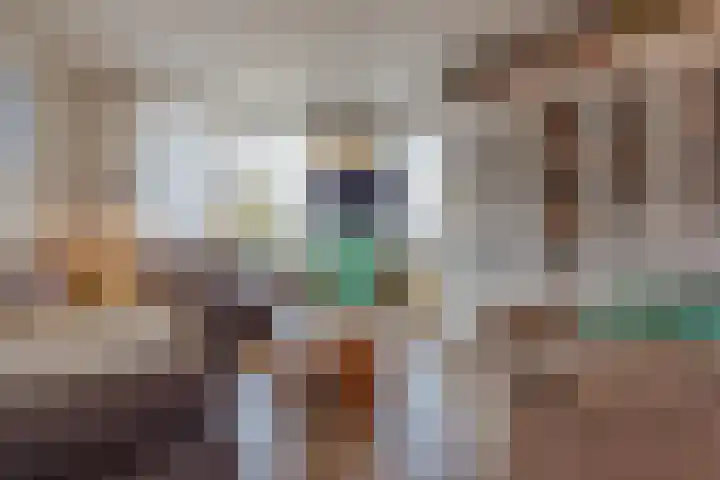 Burg Cremersstraat 60 Grubbenvorst thumbnail 4