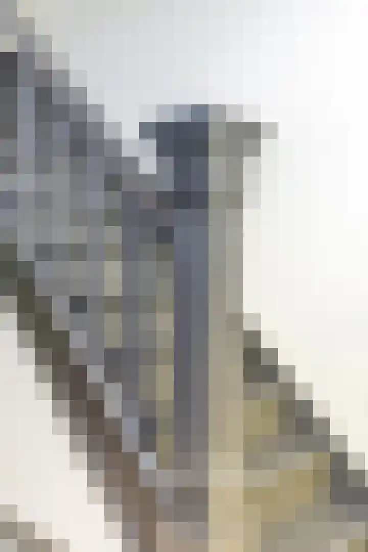 Burg. Cremersstraat 7 Nuth thumbnail 14