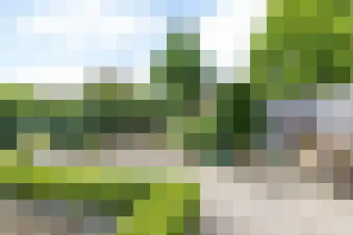 Burg. Cremersstraat 7 Nuth thumbnail 30