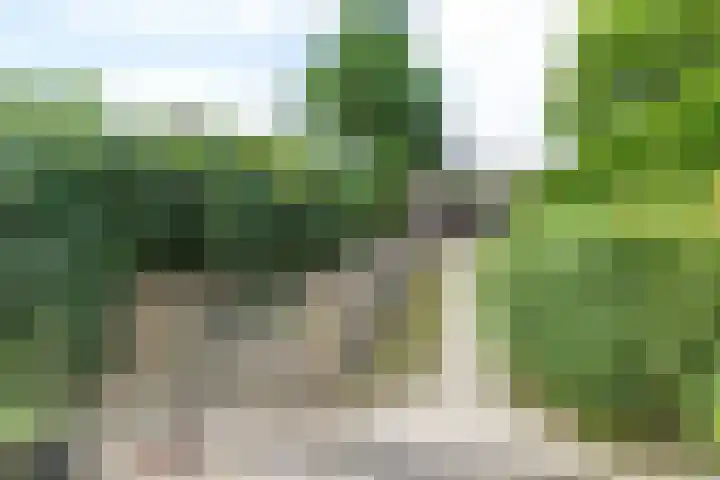 Burg. Cremersstraat 7 Nuth thumbnail 31