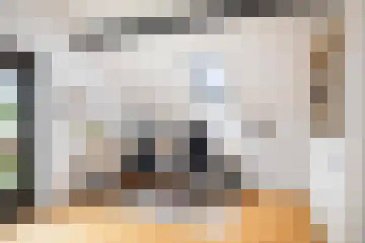Burg. Crommelinlaan 37 Diepenveen thumbnail 33