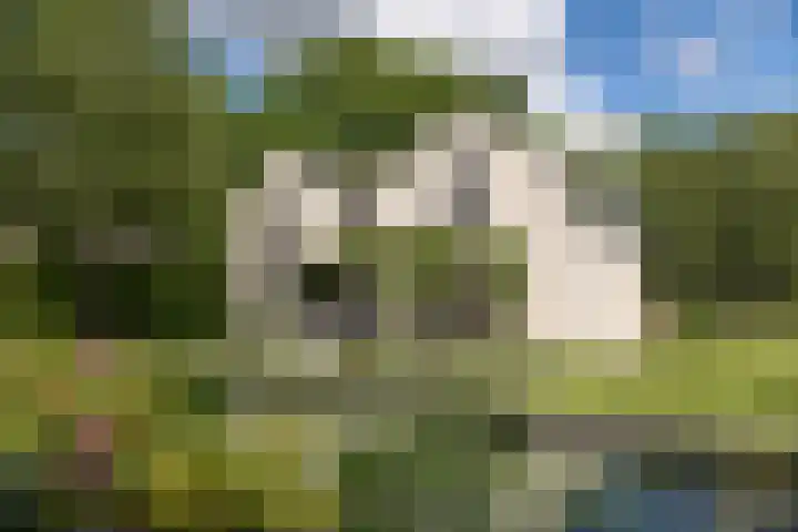 Burg. Crommelinlaan 37 Diepenveen thumbnail 38