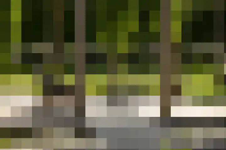 Burg. Crommelinlaan 37 Diepenveen thumbnail 39