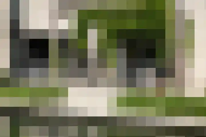 Burg. Crommelinlaan 37 Diepenveen thumbnail 4