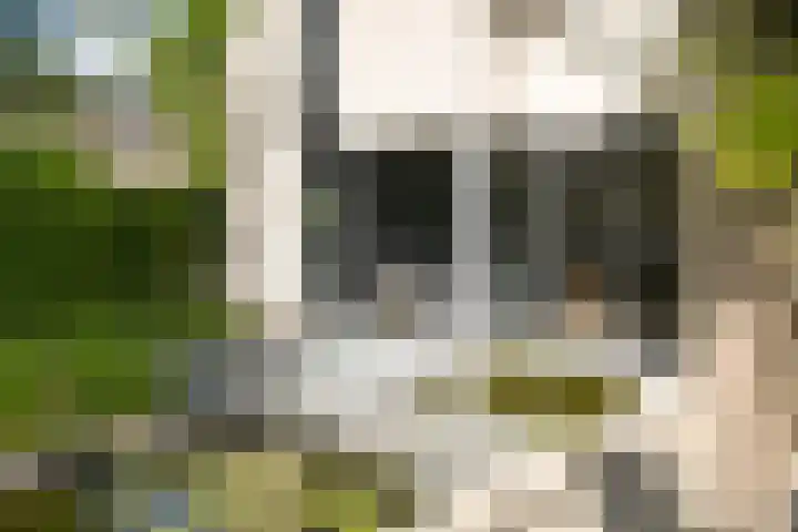 Burg. Crommelinlaan 37 Diepenveen thumbnail 40