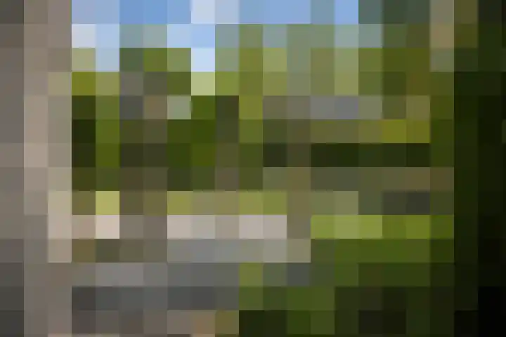 Burg. Crommelinlaan 37 Diepenveen thumbnail 42