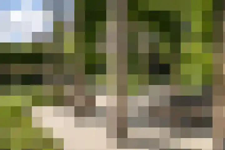 Burg. Crommelinlaan 37 Diepenveen thumbnail 43